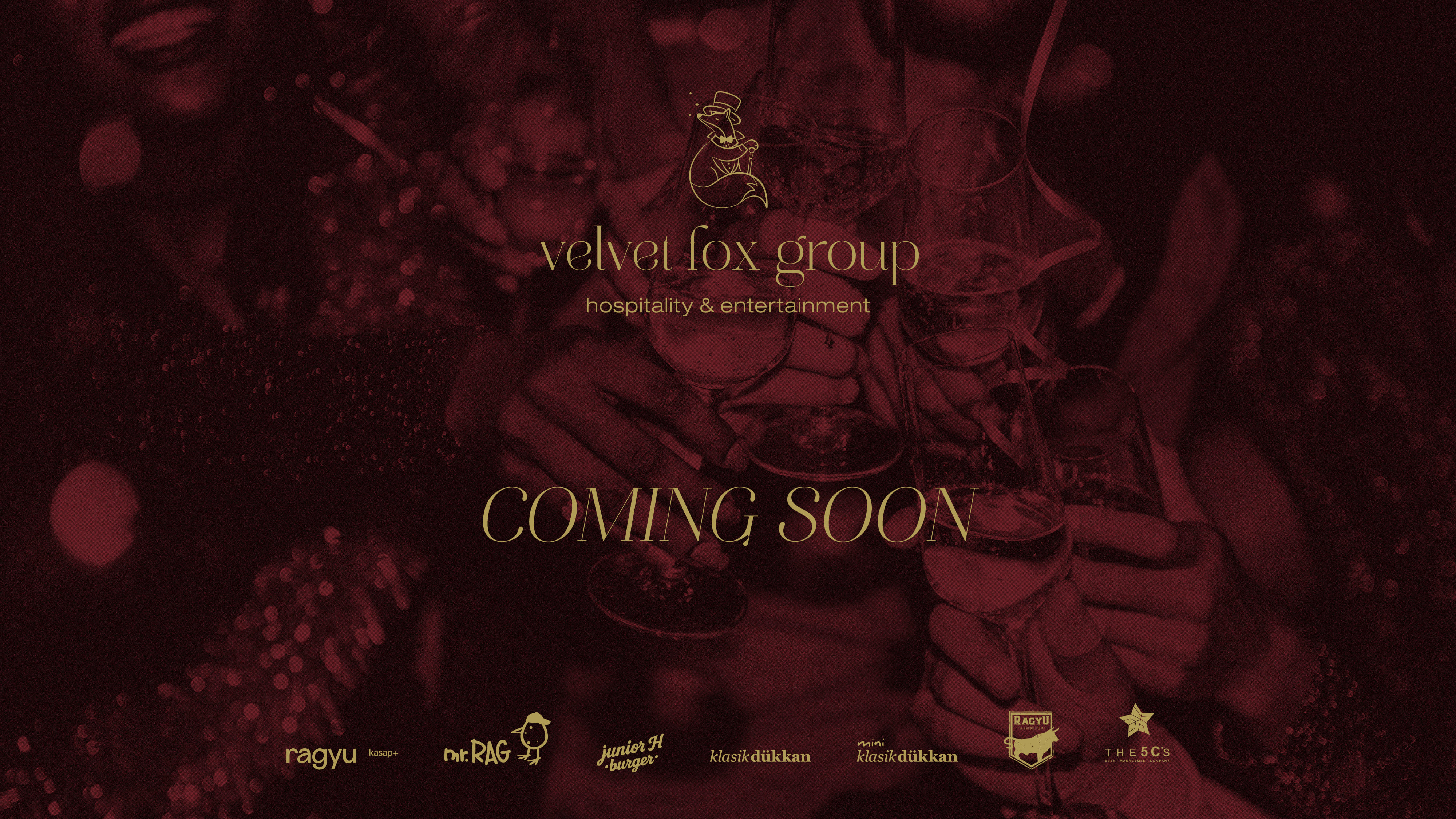 VelvetFox Coming Soon